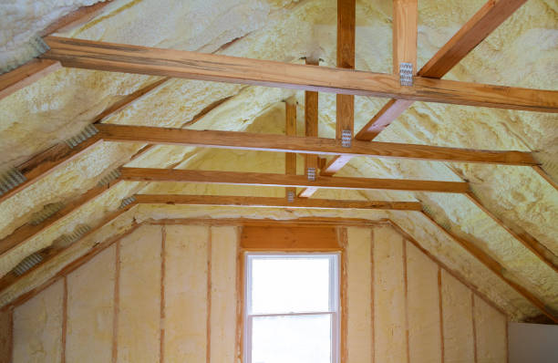 Best Specialized Insulation Services in Liberty City, TX