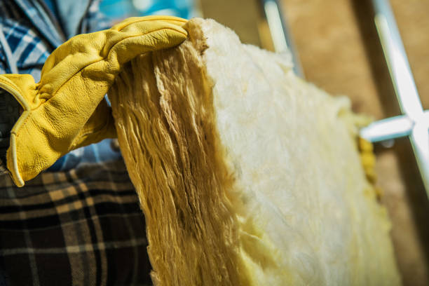 Best Eco-Friendly Insulation in Liberty City, TX