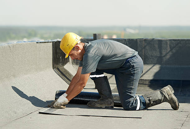 Best DIY Insulation Kits and Guidance in Liberty City, TX
