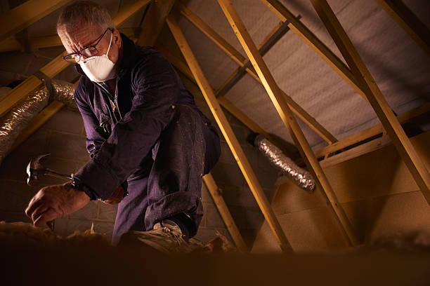 Best Cellulose Insulation in Liberty City, TX